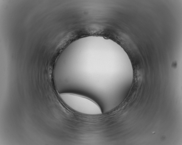 X0000090760664200707201055