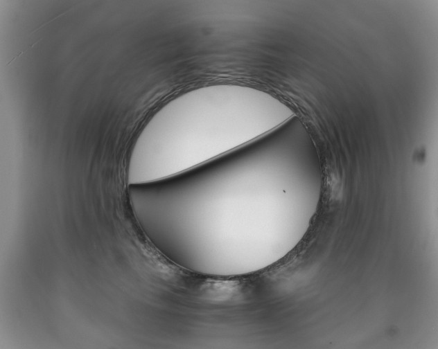 X0000090760665200707201055