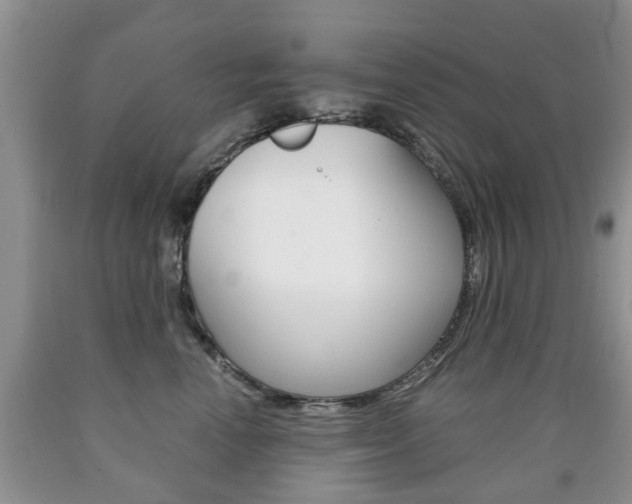 X0000090760666200707201055