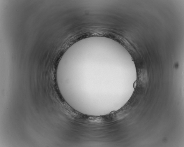X0000090760667200707201055