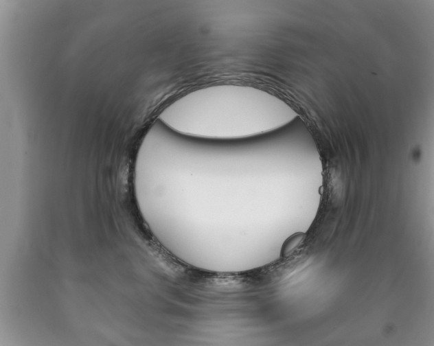 X0000090760668200707201055