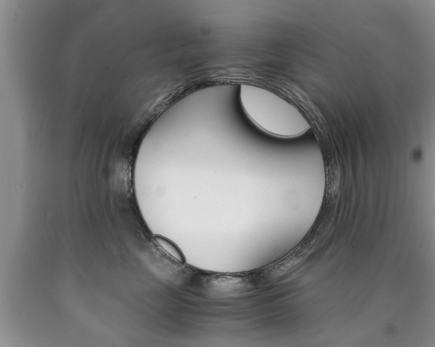 X0000090760669200707201055