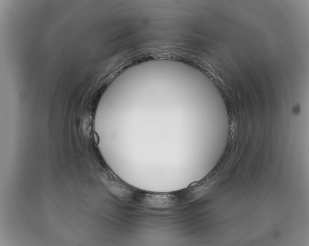 X0000090760671200707201055
