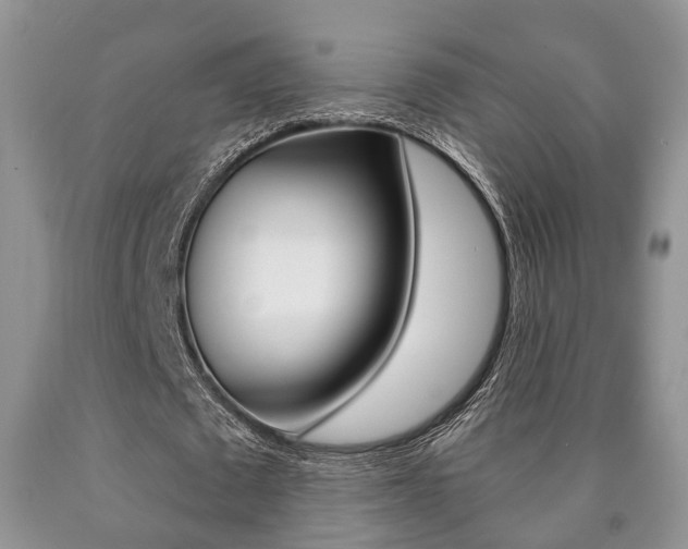 X0000090760673200707201054