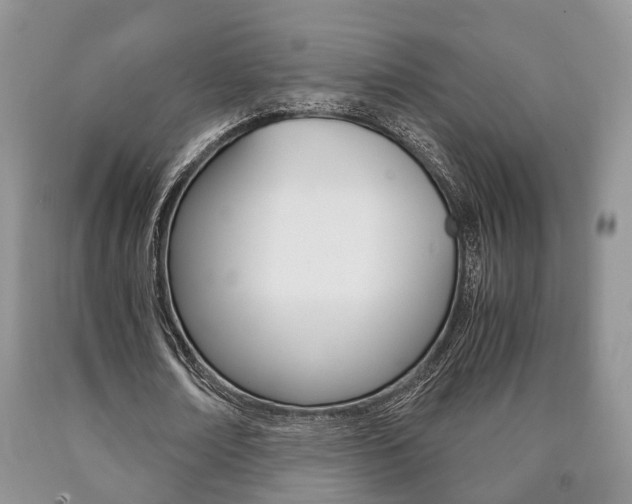 X0000090760674200707201054