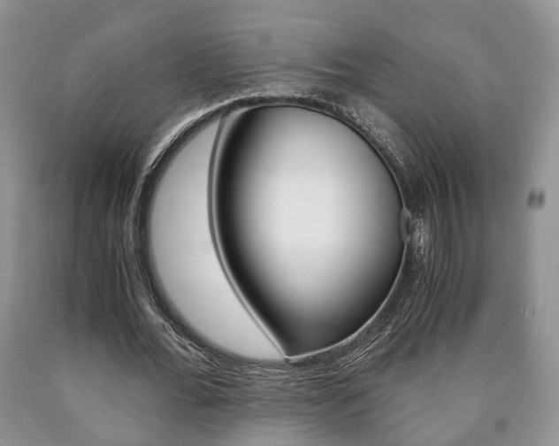 X0000090760676200707201054