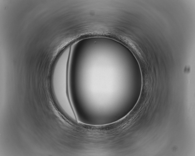 X0000090760677200707201054