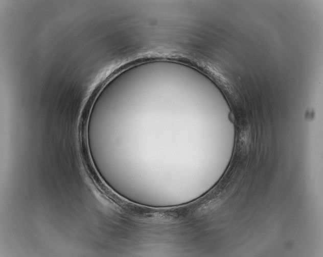 X0000090760678200707201054