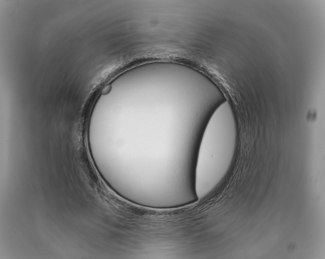 X0000090760679200707201054