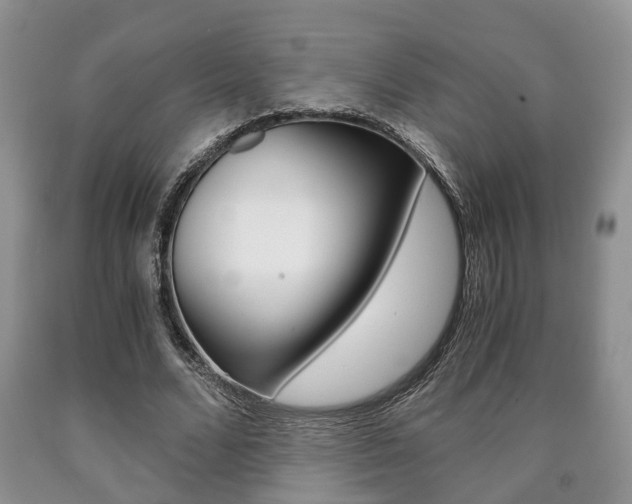X0000090760680200707201054