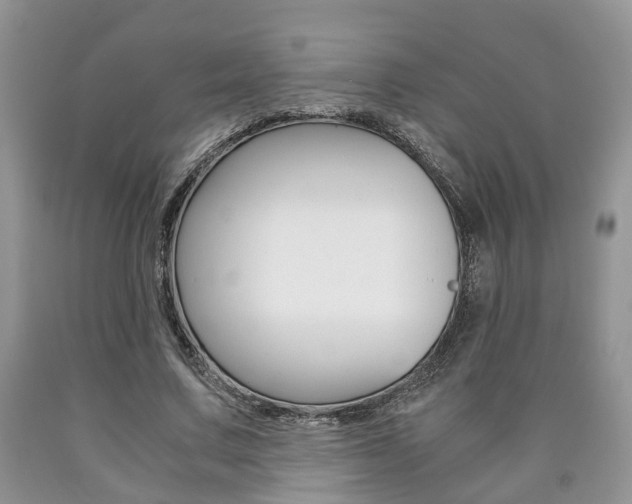 X0000090760683200707201054