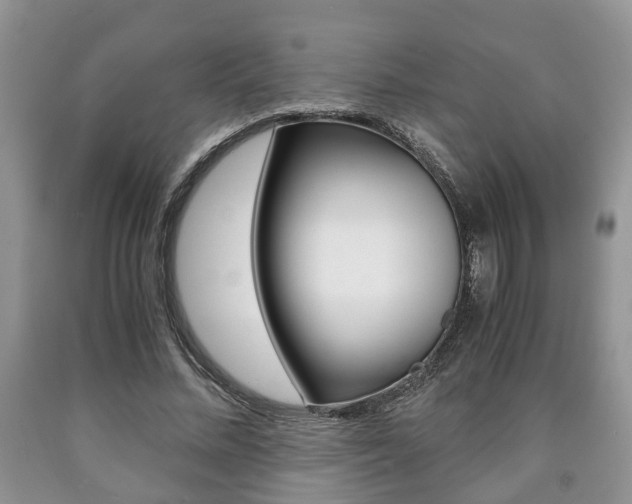 X0000090760684200707201054