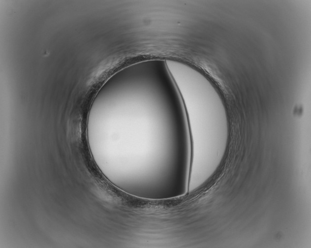 X0000090760685200707201054