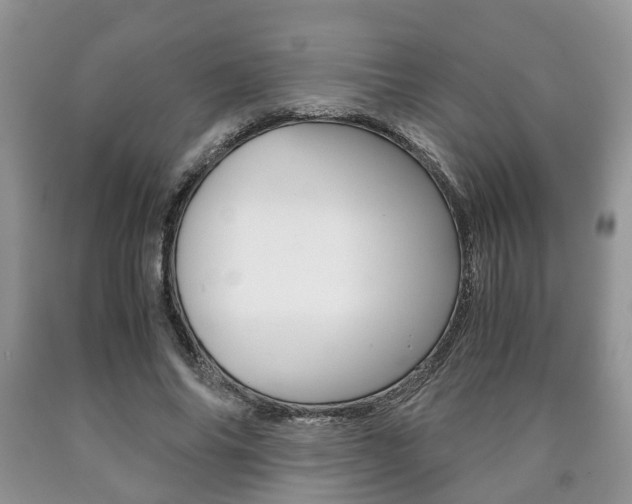 X0000090760686200707201054