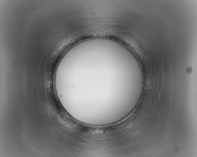 X0000090760687200707201054