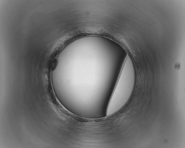 X0000090760688200707201054