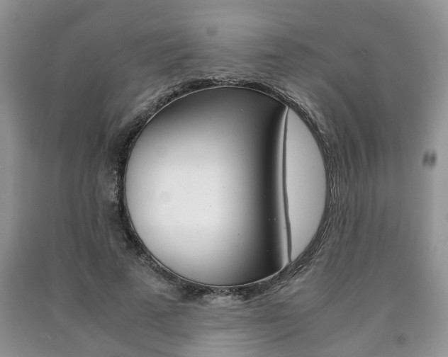 X0000090760689200707201054