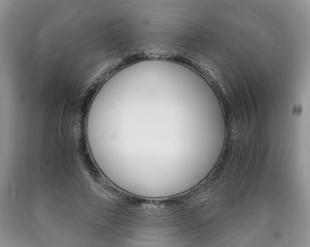X0000090760690200707201054