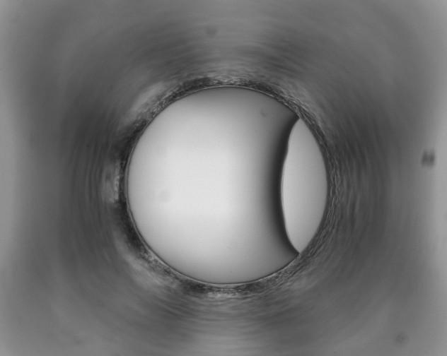 X0000090760694200707201054