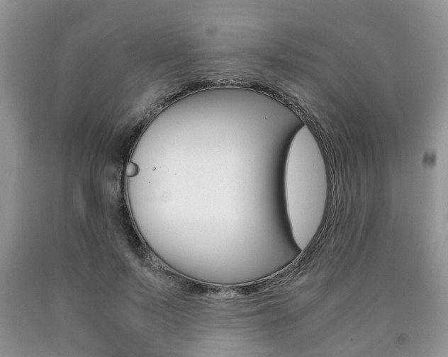 X0000090760695200707201054