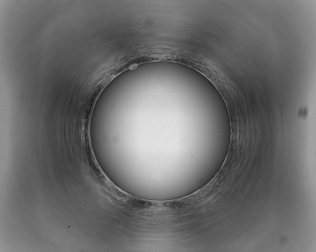 X0000090760696200707201054