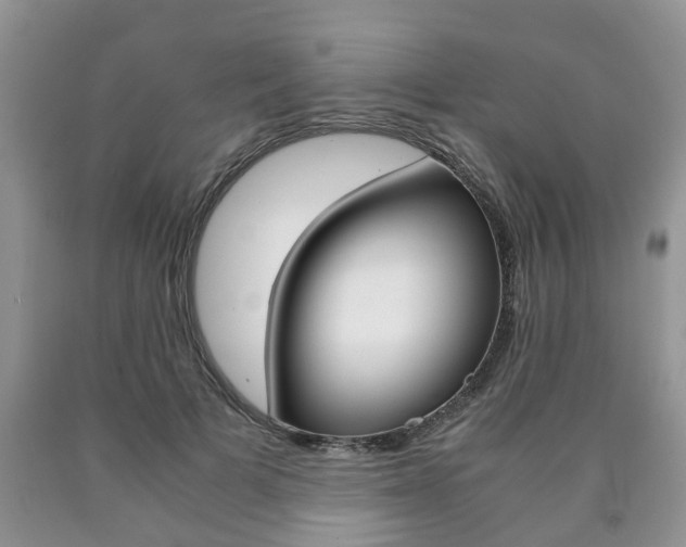 X0000090760697200707201054