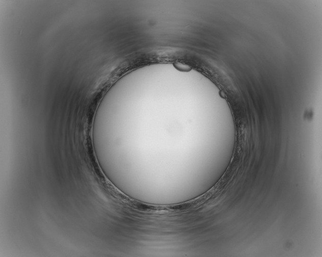 X0000090760698200707201054