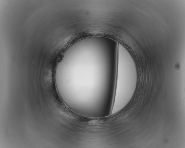 X0000090760700200707201054