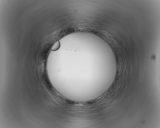 X0000090760703200707201054