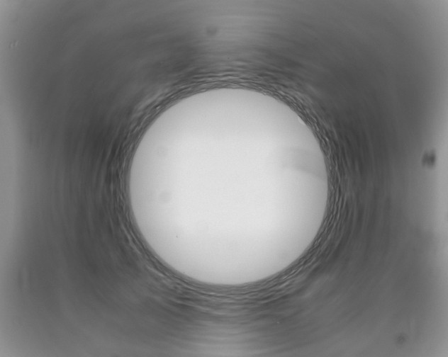 X0000090760705200707201054