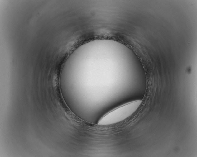 X0000090760708200707201054