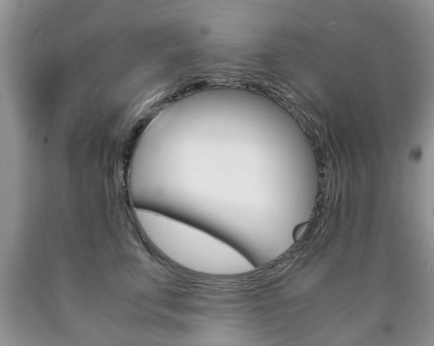 X0000090760711200707201054