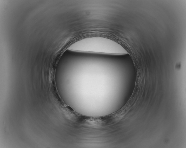 X0000090760712200707201054