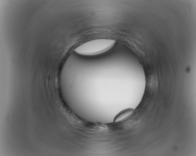 X0000090760715200707201054