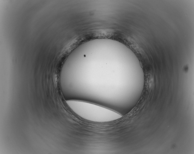 X0000090760716200707201054