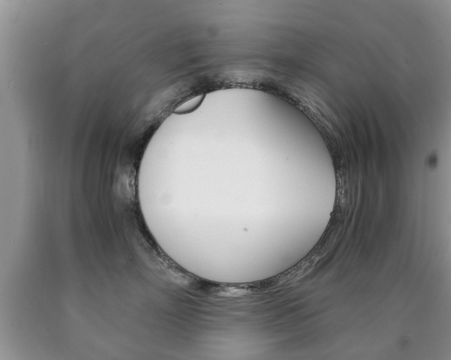 X0000090760718200707201054
