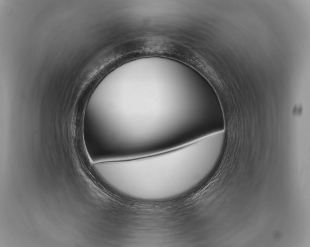 X0000090760722200707201053