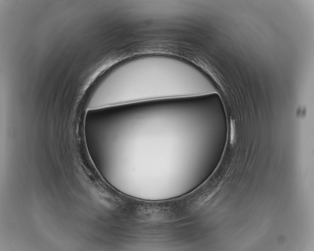X0000090760723200707201053