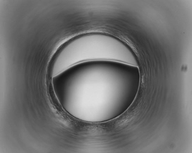 X0000090760724200707201053