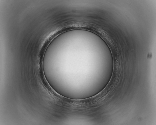 X0000090760727200707201053
