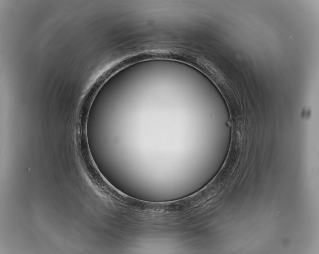 X0000090760728200707201053