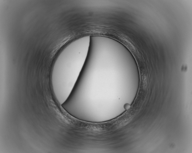 X0000090760729200707201053
