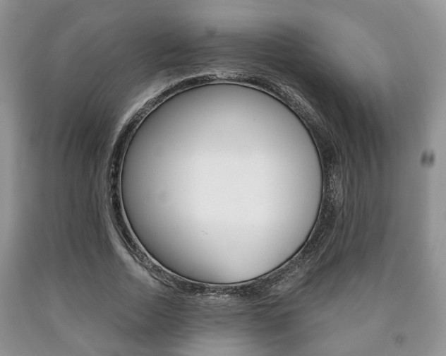 X0000090760730200707201053