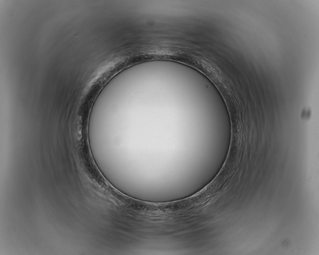 X0000090760731200707201053