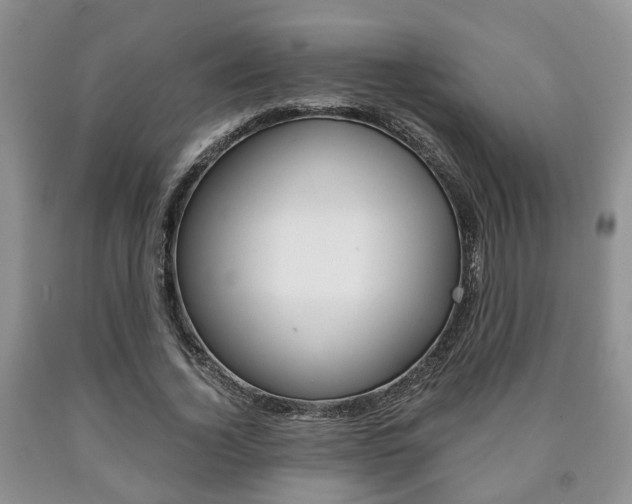 X0000090760732200707201053