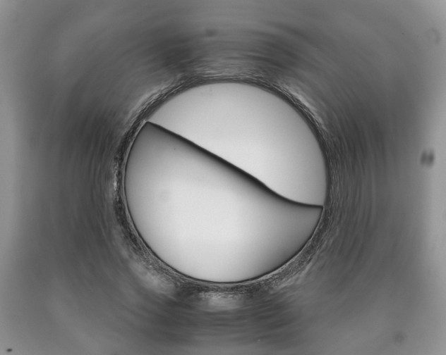X0000090760733200707201053