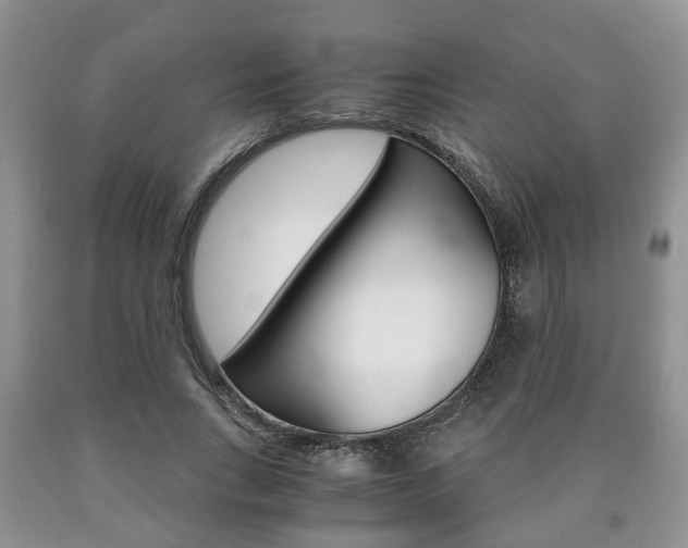 X0000090760735200707201053