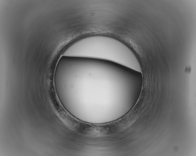 X0000090760736200707201053