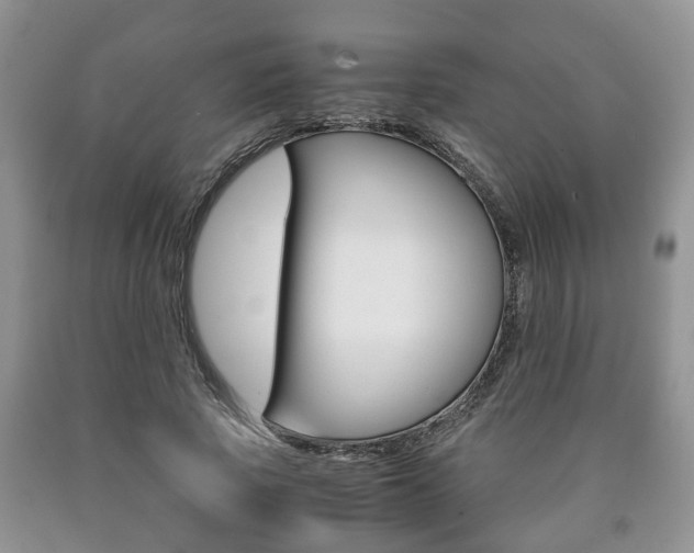 X0000090760737200707201053