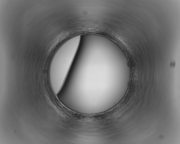 X0000090760738200707201053